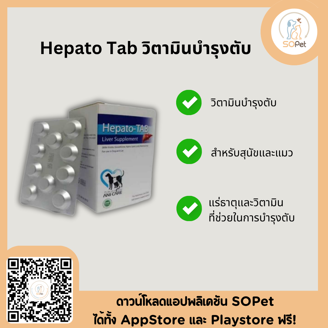 Hepato Tab วิตามินบำรุงตับสำหรับสุนัขและแมว แบ่งแผง (10เม็ด)