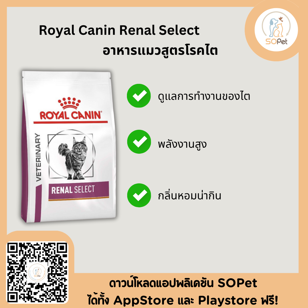 Royal Canin Renal Select Cat Food อาหารแมวโรคไต ซีเล็ค แบบเม็ด