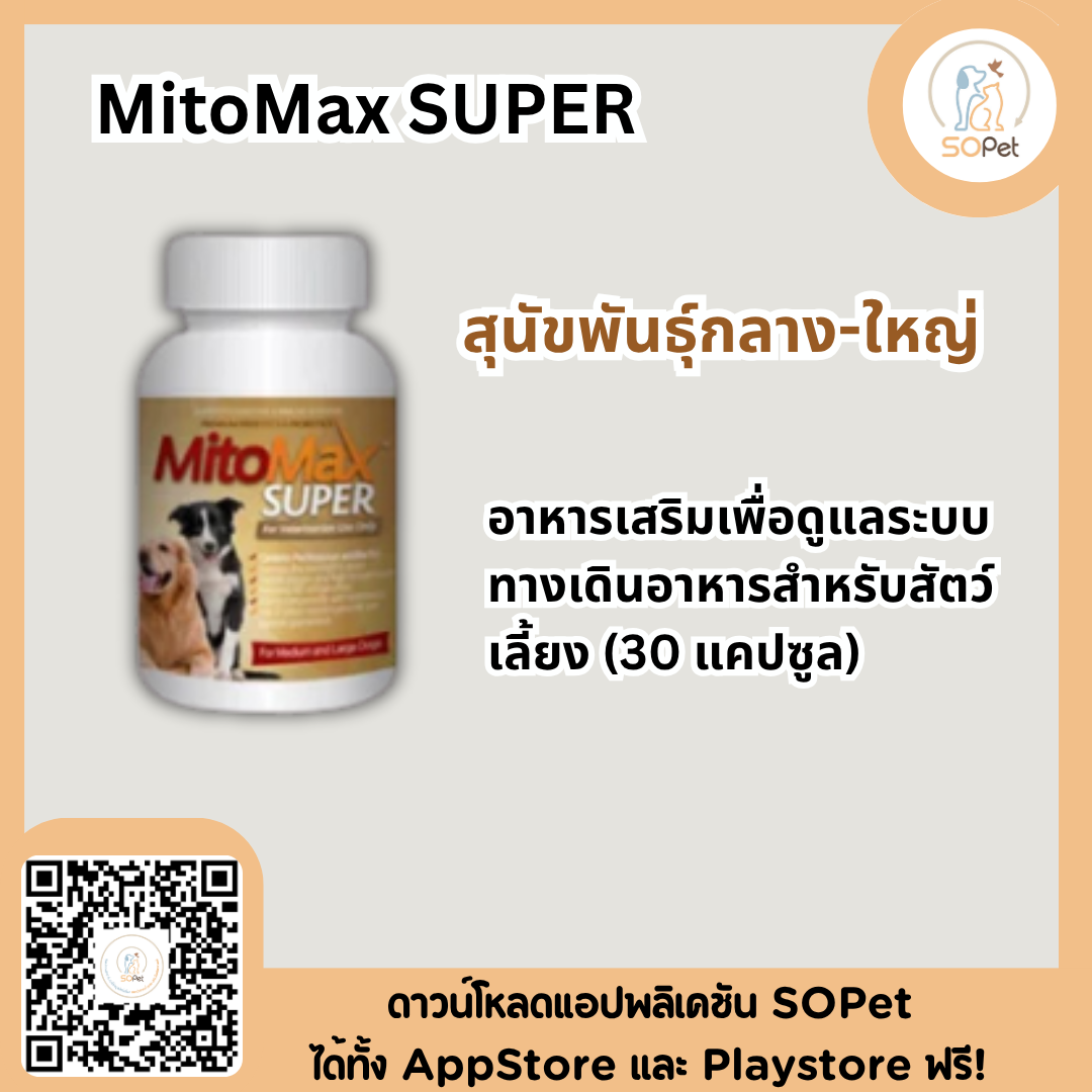 Mitomax อาหารเสริมเพื่อสุขภาพระบบทางเดินอาหารและภูมิคุ้มกันสำหรับสัตว์เลี้ยง