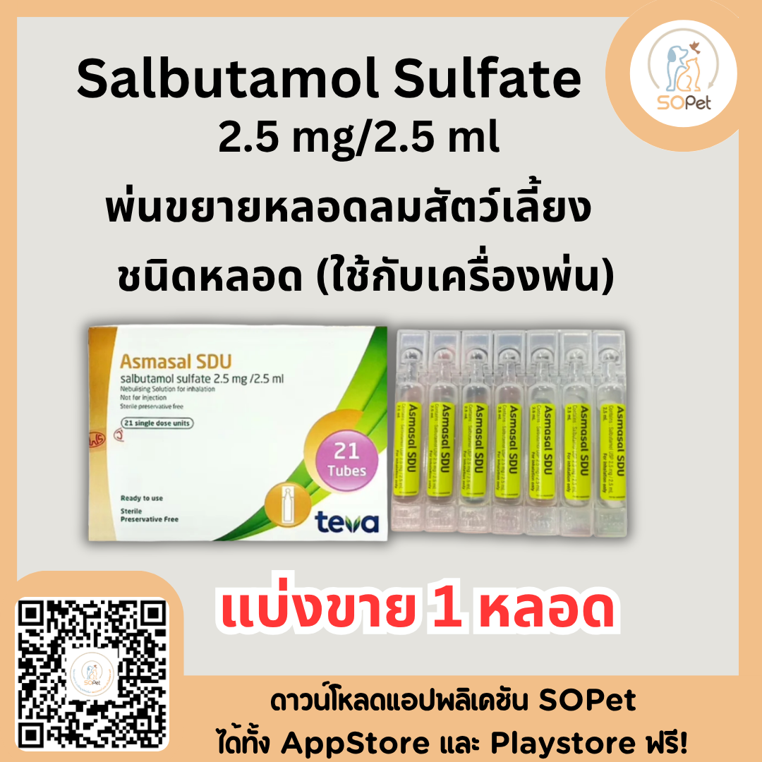 Salbutamol Sulfate 2.5 mg/2.5 ml (Ventolin) ผลิตภัณฑ์ขยายหลอดลมชนิดพ่นฝอยละออง ( 1 หลอด)