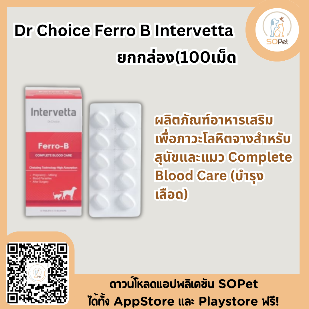 Dr Choice Ferro B Intervetta (ยกกล่อง 100 เม็ด)บำรุงเลือด สุนัขและแมว โลหิตจาง ตั้งท้อง ให้นมลูก