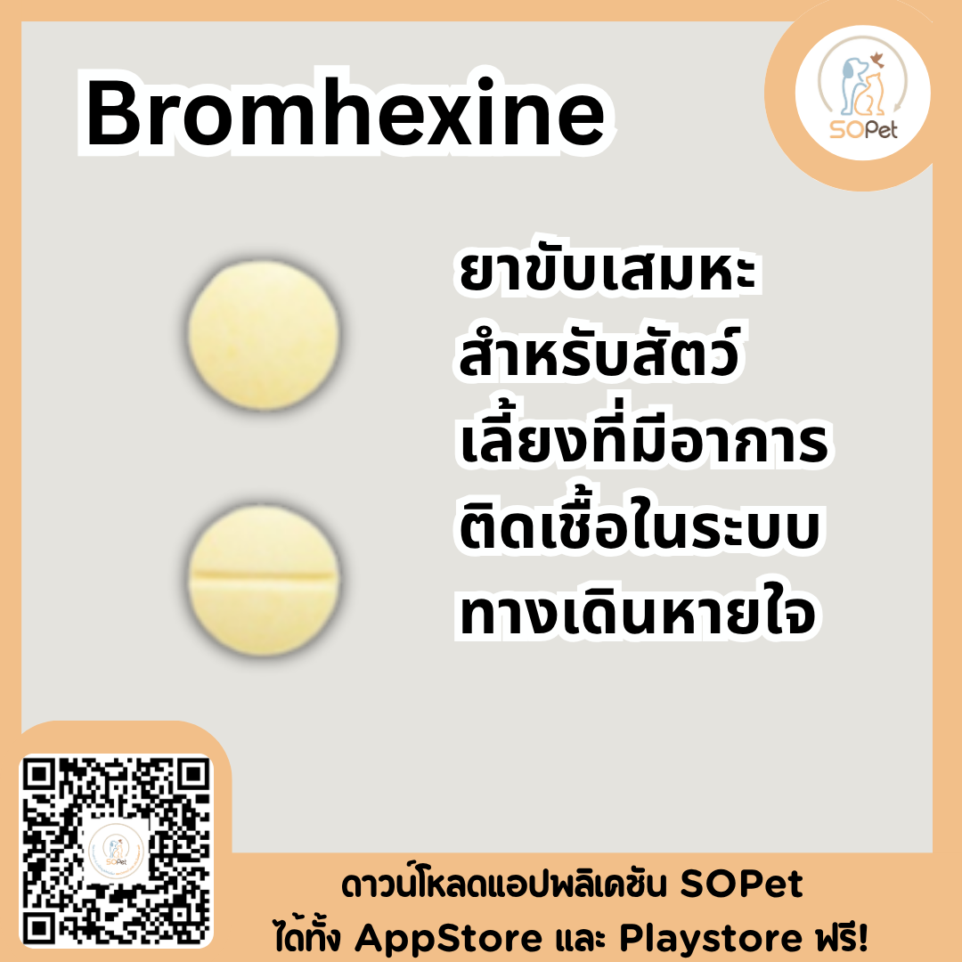 Bromhexine อาหารเสริมขับเสมหะสำหรับสัตว์เลี้ยงที่มีอาการในระบบทางเดินหายใจ