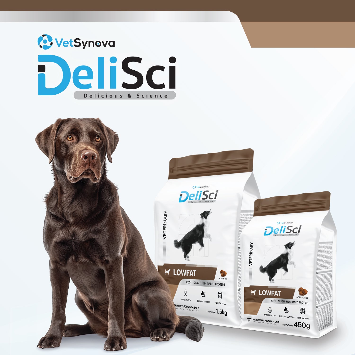 DeliSci Low Fat for Dogs อาหารจำกัดปริมาณโปรตีน และ ไขมัน สำหรับสุนัข ที่มีภาวะไขมันในเลือดสูง
