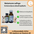 Betamune วิตามินกระตุ้นและเสริมสร้างภูมิคุ้มกัน 30 ml. วิตามินบำรุงแมวและหมา