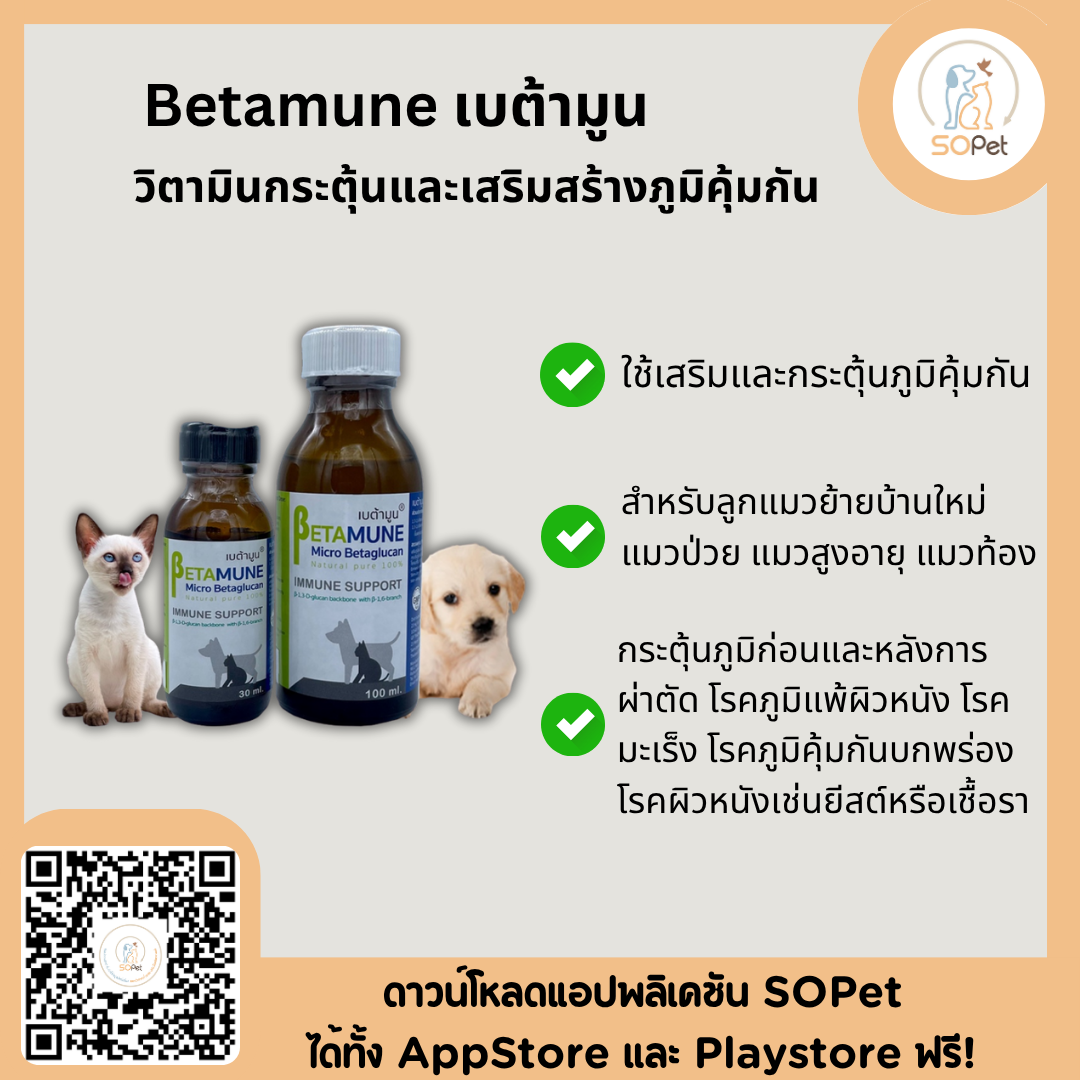 Betamune วิตามินกระตุ้นและเสริมสร้างภูมิคุ้มกัน 30 ml. วิตามินบำรุงแมว