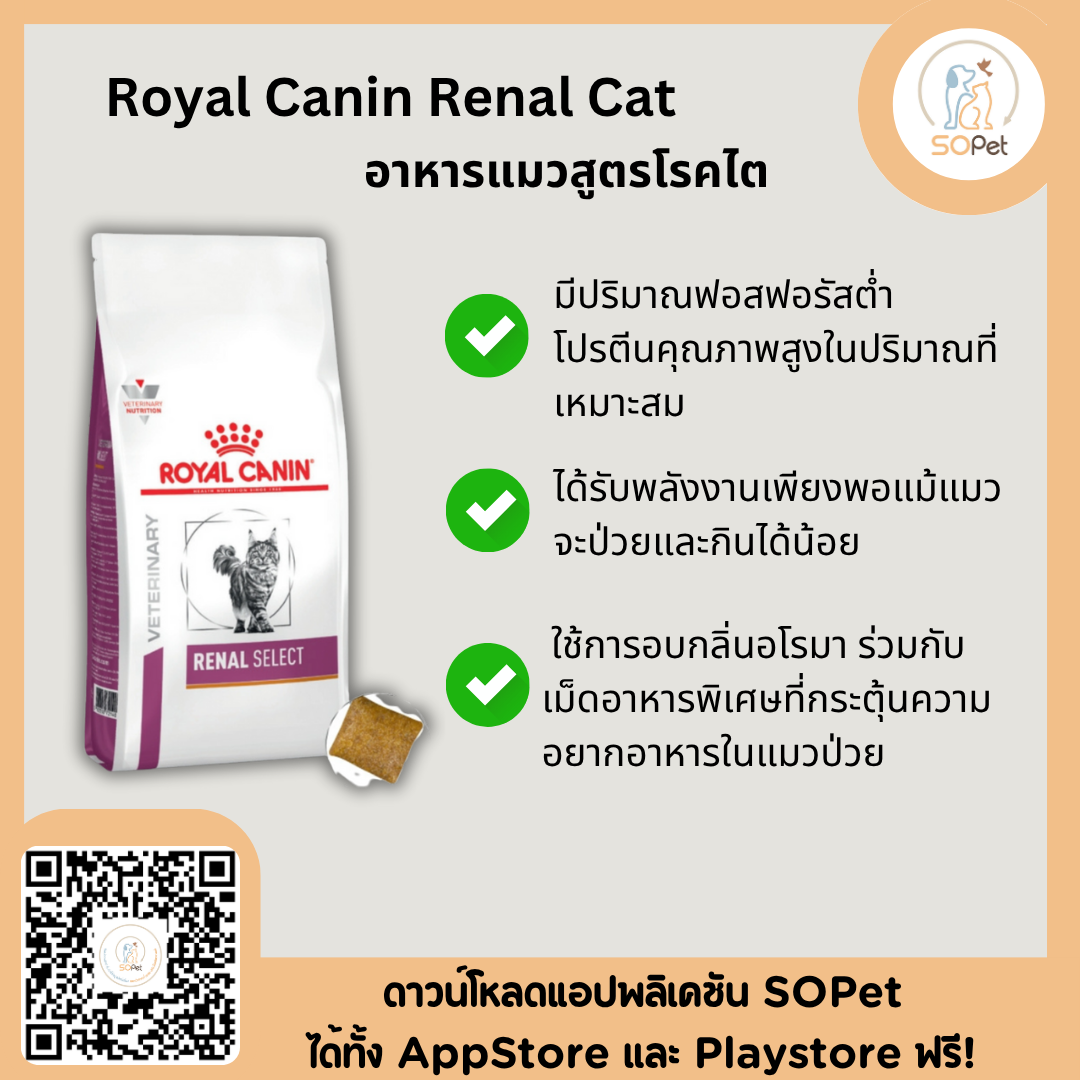 Royal canin Renal cat อาหารสำหรับแมวโรคไต