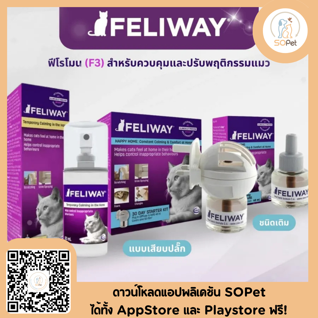 Feliway ฟิโรโมนแมว ช่วยให้น้องแมวคลายเครียด ผ่อนคลาย ลดก้าวร้าว มีความสุข มี3แบบให้เลือก