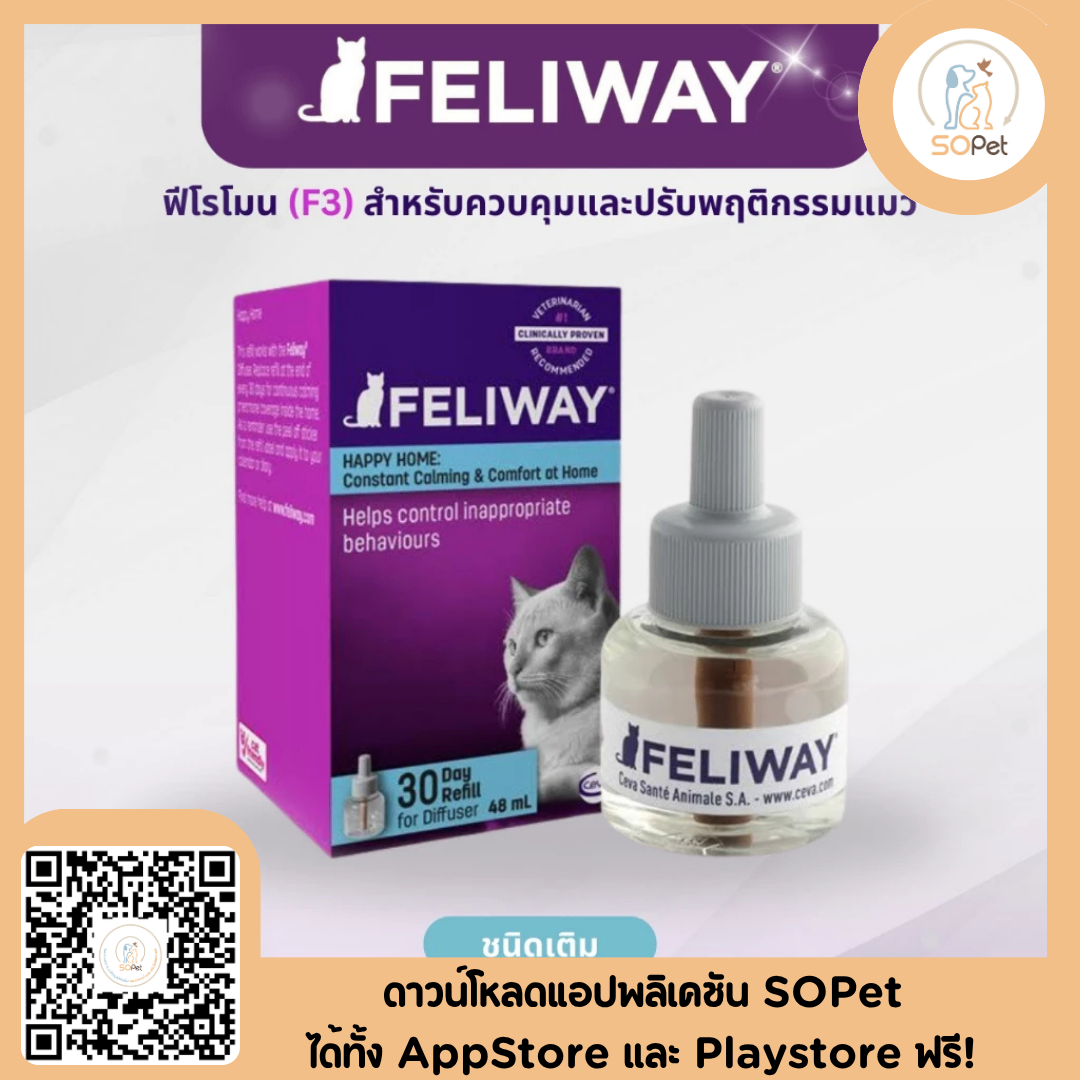 Feliway ฟิโรโมนแมว ช่วยให้น้องแมวคลายเครียด ผ่อนคลาย ลดก้าวร้าว มีความสุข มี3แบบให้เลือก