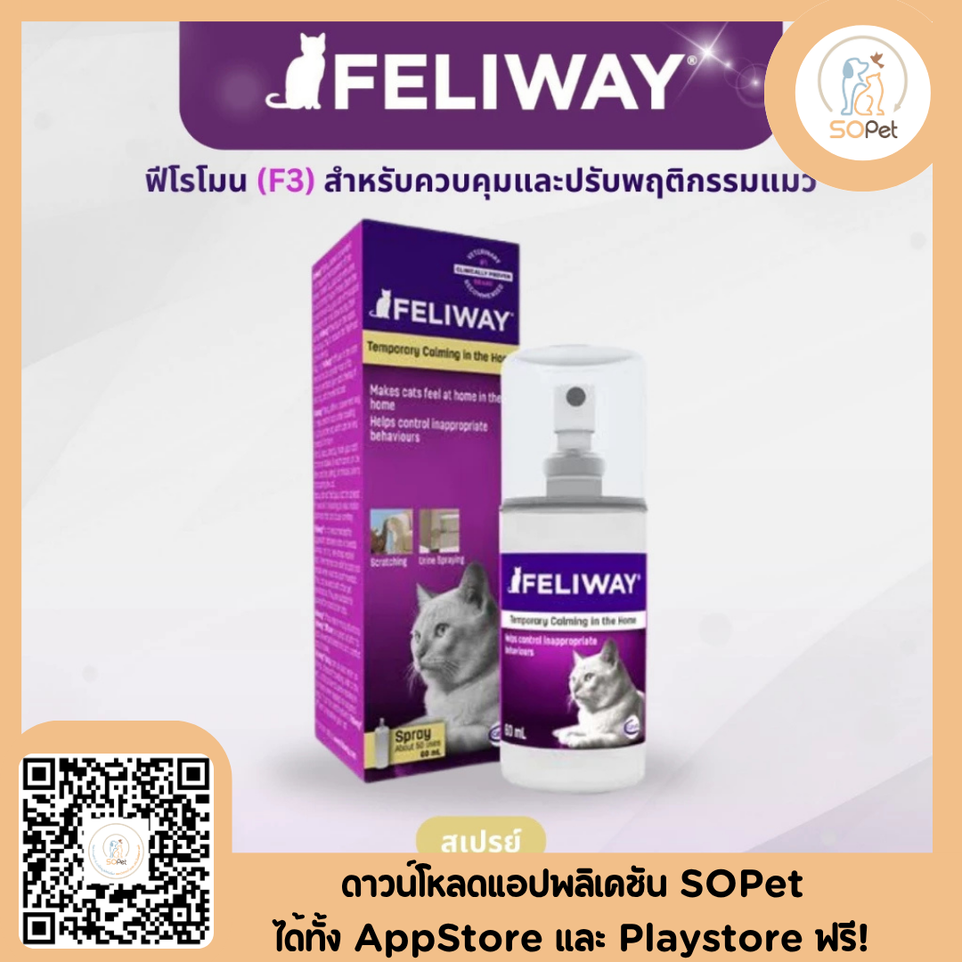 Feliway ฟิโรโมนแมว ช่วยให้น้องแมวคลายเครียด ผ่อนคลาย ลดก้าวร้าว มีความสุข มี3แบบให้เลือก