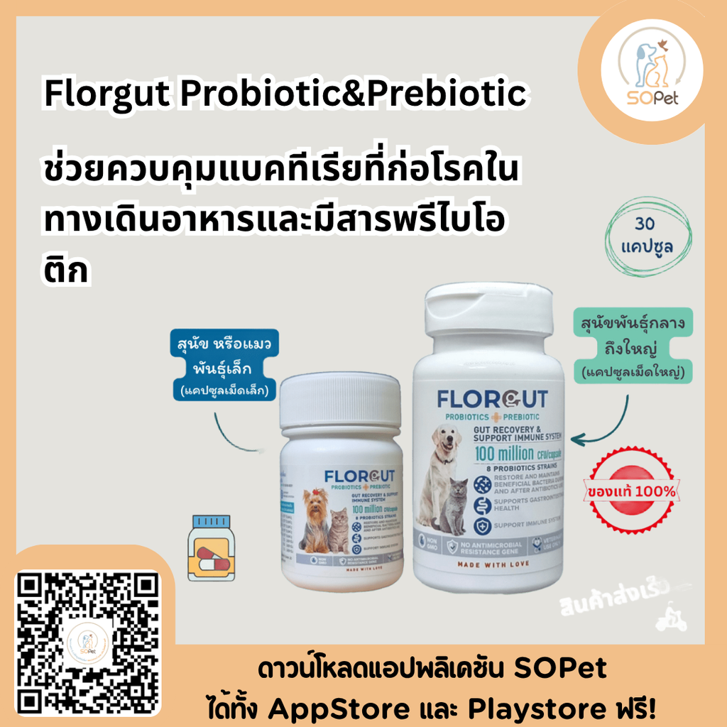 Florgut อาหารเสริม Probiotic&Prebiotic สำหรับสุนัขและแมว (30แคปซูล)