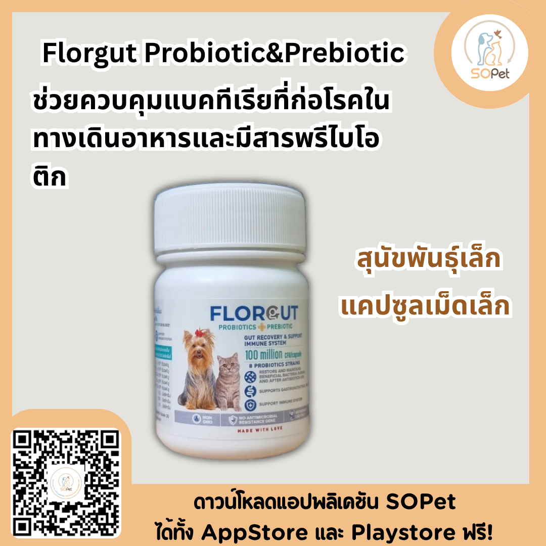 Florgut อาหารเสริม Probiotic&Prebiotic สำหรับสุนัขและแมว (30แคปซูล)