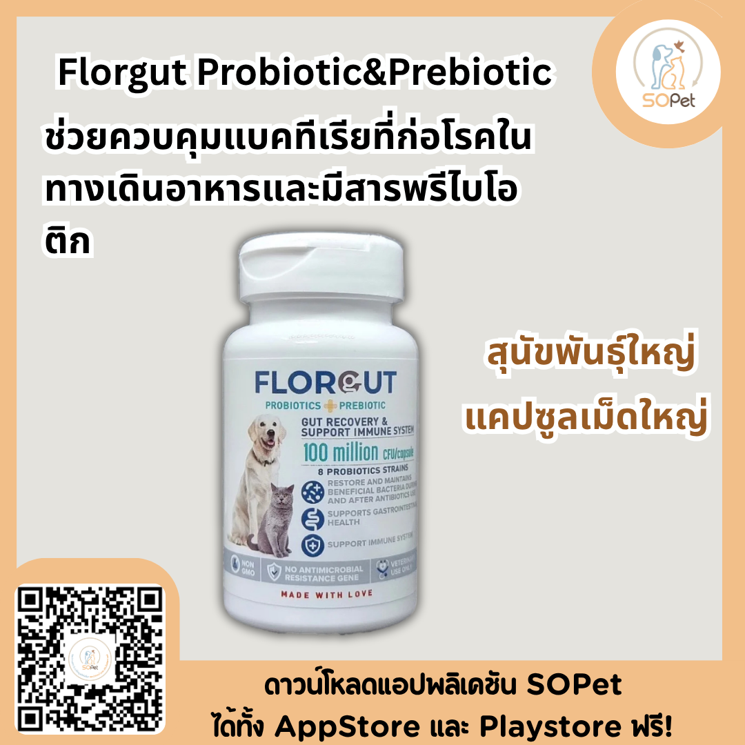 Florgut อาหารเสริม Probiotic&Prebiotic สำหรับสุนัขและแมว (30แคปซูล)
