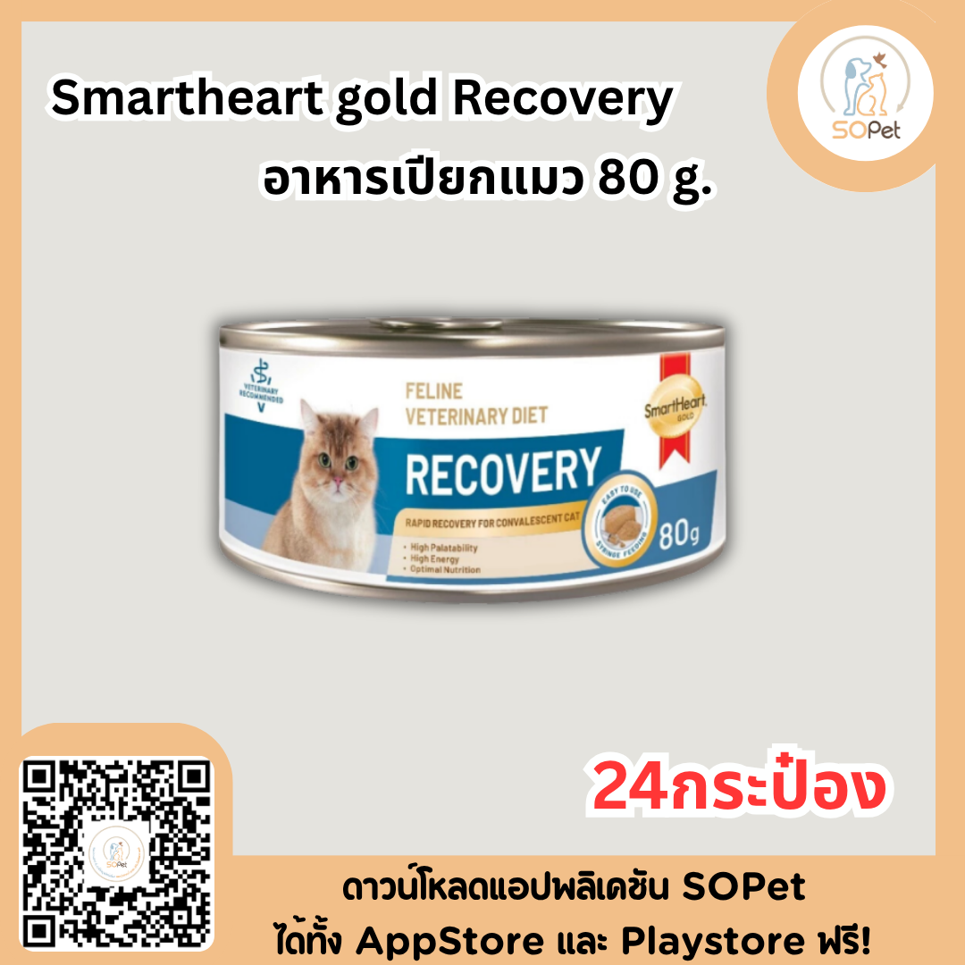 Smartheart gold Recovery อาหารเปียกสุนัข 170ก แมว80ก สำหรับสัตว์ป่วย พักพื้น ผ่าตัด 12กระป๋อง