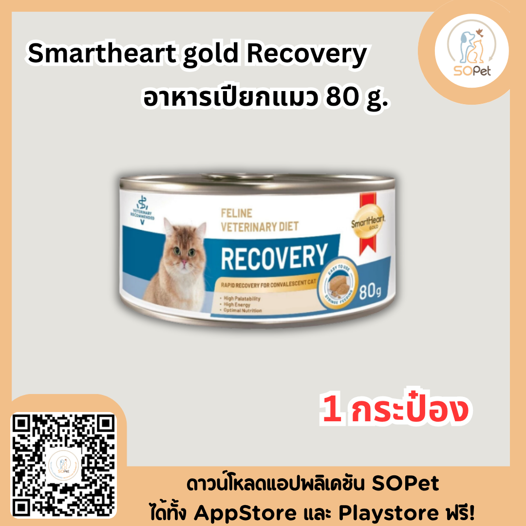 Smartheart gold Recovery อาหารเปียกสุนัข 170ก แมว80ก สำหรับสัตว์ป่วย พักพื้น ผ่าตัด แมว80กรัม