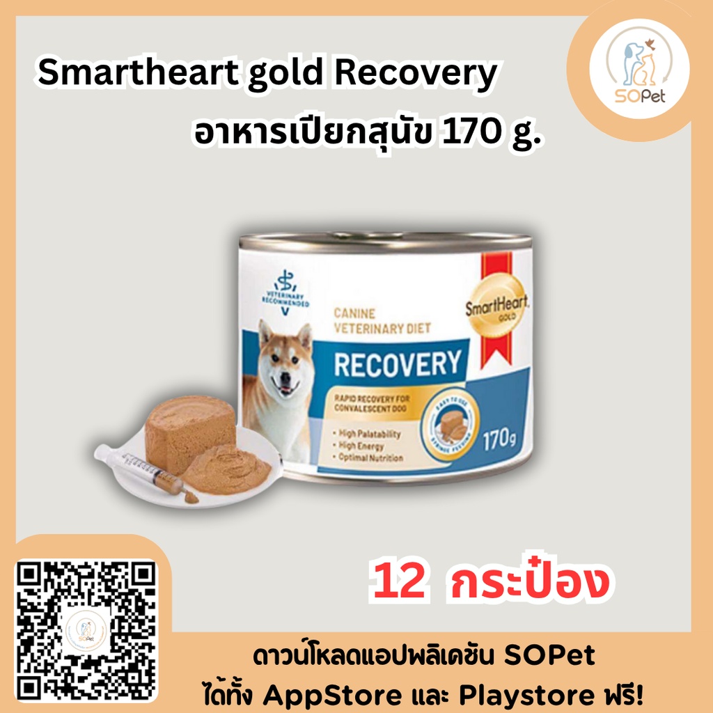 Smartheart gold Recovery อาหารเปียกสุนัข 170ก แมว80ก สำหรับสัตว์ป่วย พักพื้น ผ่าตัด 12กระป๋อง