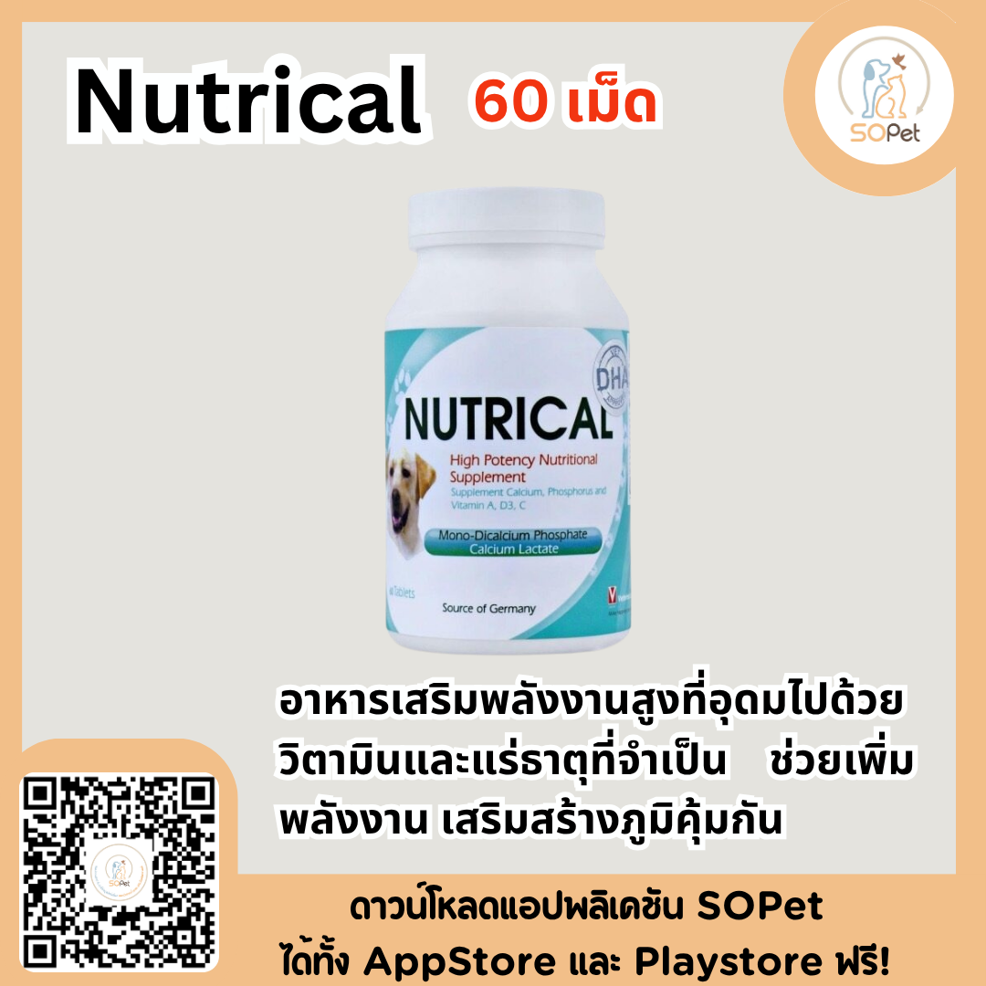 Nutrical อาหารเสริมพลังงานสูงที่อุดมไปด้วยวิตามินและแร่ธาตุที่จำเป็น ช่วยเพิ่มพลังงาน 30/60 เม็ด
