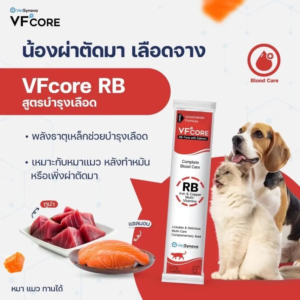 VFcore อาหารเสริมสำหรับแมว ขนมแมวเลีย ไลซีน, บำรุงเลือด, บำรุงข้อต่อ เสริมสร้างกล้ามเนื้อ