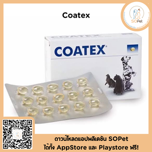Coatex ผลิตภัณฑ์เสริมอาหารสำหรับการบำรุงขนและผิวหนังของสัตว์เลี้ยง