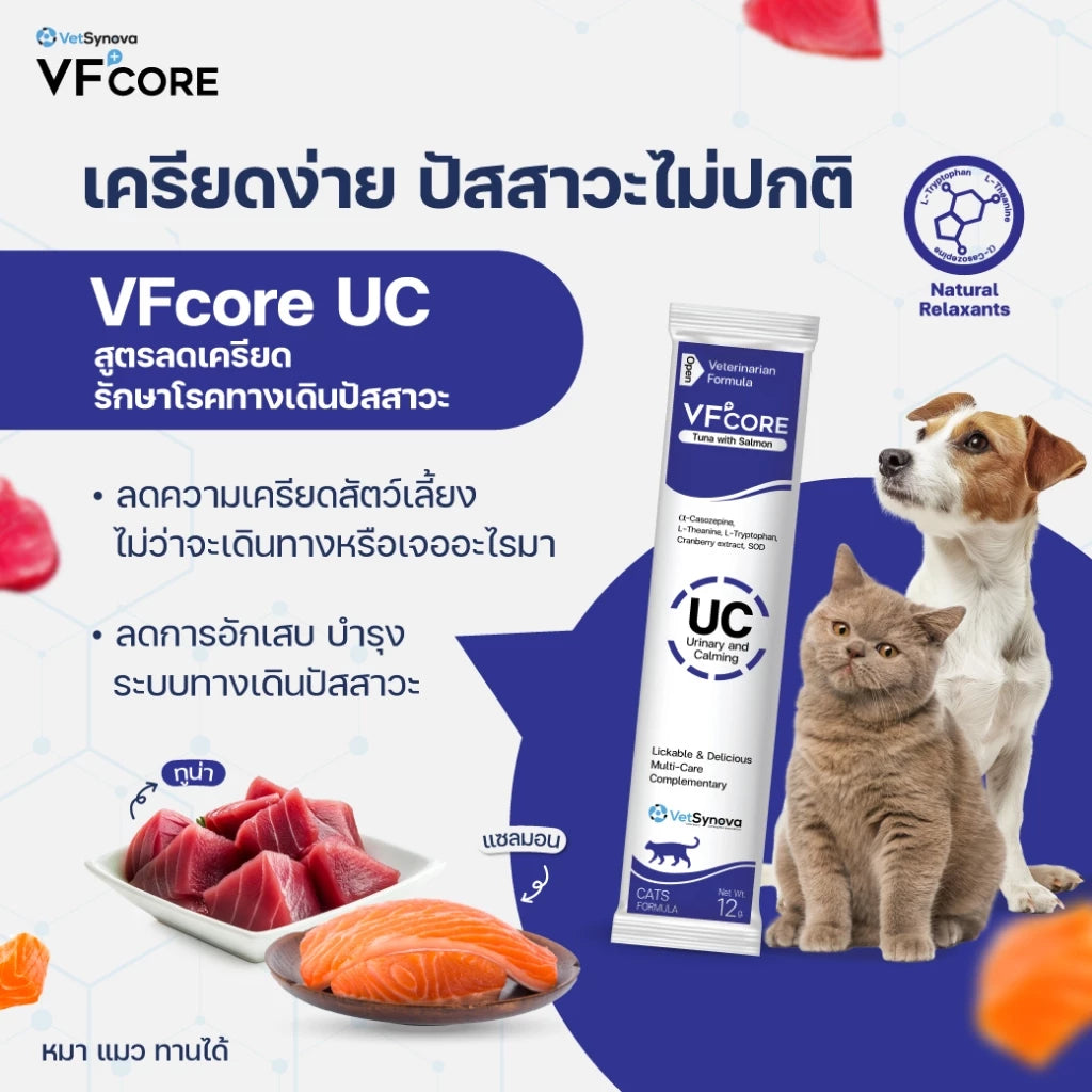 VFcore อาหารเสริมสำหรับแมว ขนมแมวเลีย ไลซีน, บำรุงเลือด, บำรุงข้อต่อ เสริมสร้างกล้ามเนื้อ