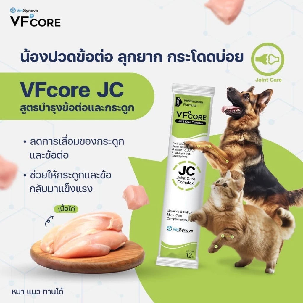 VFcore อาหารเสริมสำหรับแมว ขนมแมวเลีย ไลซีน, บำรุงเลือด, บำรุงข้อต่อ เสริมสร้างกล้ามเนื้อ