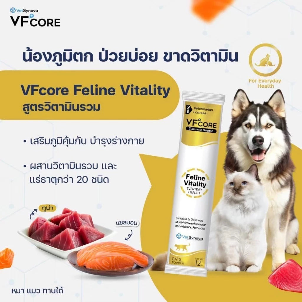 VFcore อาหารเสริมสำหรับแมว ขนมแมวเลีย ไลซีน, บำรุงเลือด, บำรุงข้อต่อ เสริมสร้างกล้ามเนื้อ